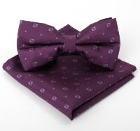 Набор мужской: галстук-бабочка + платок, фиолетовый